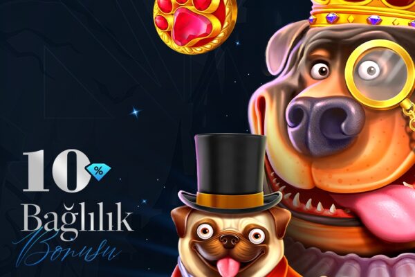 Sapphire Palace yeni üye freeroll turnuvaları ile risksiz poker deneyimini keşfedin. Bedava turnuvalar, ödül yapıları ve kazanma stratejileri hakkında detaylı rehber.